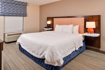 Suite, 1 King Bed, Accessible, Non Smoking