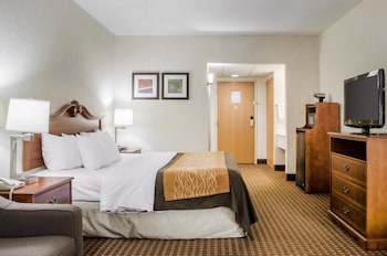 Standard Room, 1 King Bed with Sofa bed, Non Smoking