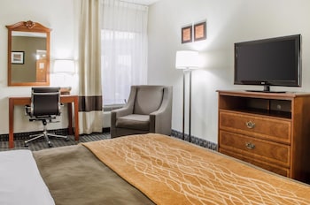Standard Room, 1 King Bed with Sofa bed, Non Smoking