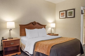 Standard Room, 1 King Bed, Non Smoking