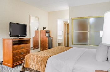Standard Room, 1 King Bed, Non Smoking
