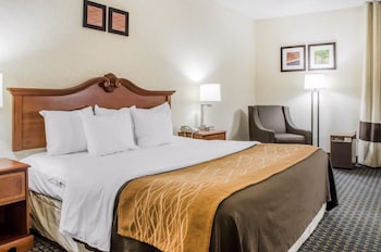 Standard Room, 1 King Bed, Non Smoking