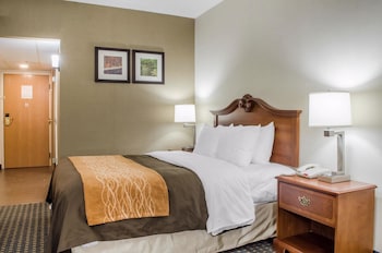 Standard Room, 1 King Bed with Sofa bed, Non Smoking