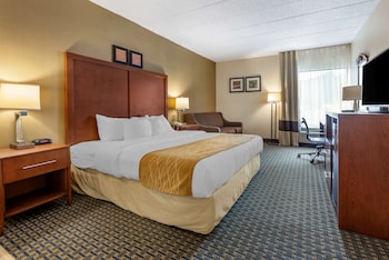 Room, 1 King Bed with Sofa bed, Non Smoking (Upgrade)