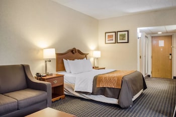 Room, 1 Queen Bed, Accessible, Non Smoking