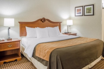 Standard Room, 1 King Bed with Sofa bed, Non Smoking