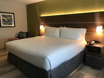 Standard Room, 1 King Bed, Accessible (Mobility Roll-in Shower)