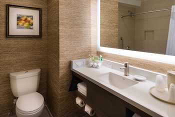 Suite, 1 King Bed
