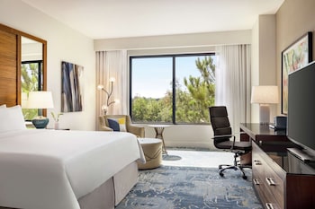 Room, 1 King Bed