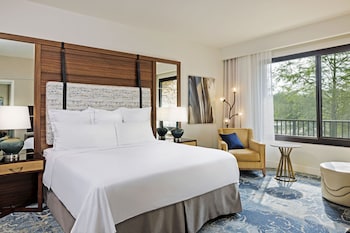 Room, 1 King Bed