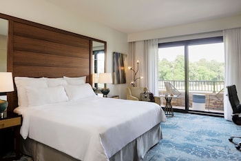 Room, 1 King Bed