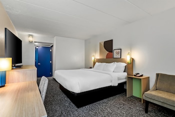 Room, 1 King Bed