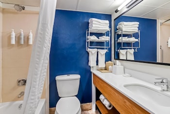 Room, 1 King Bed