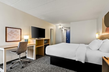 Room, 1 King Bed
