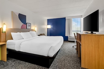 Room, 1 King Bed