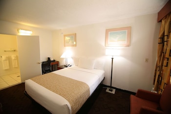 Room, 1 Queen Bed, Accessible, Non Smoking (Mobility, Roll-In Shower)
