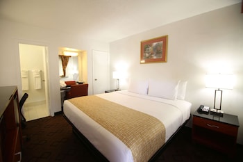 Room, 1 King Bed, Non Smoking