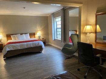 King Studio Suite (1 King Bed)
