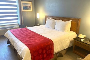 Room, 1 Queen Bed, Non Smoking