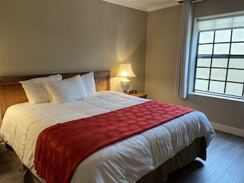 King Studio Suite (1 King Bed)