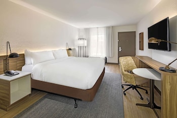 Room, 1 King Bed, Non Smoking