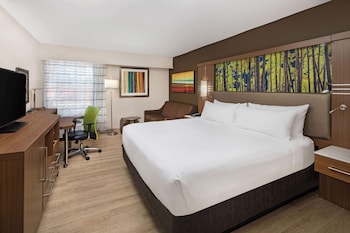 Room, 1 King Bed, Non Smoking