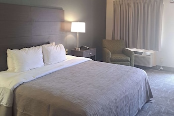Room, 1 King Bed, Accessible, Non Smoking