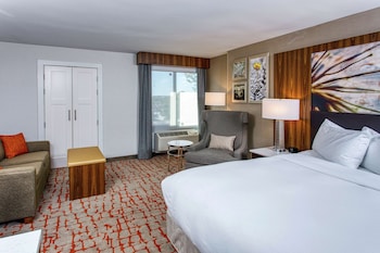 Room, 1 Queen Bed