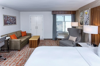 Room, 1 King Bed
