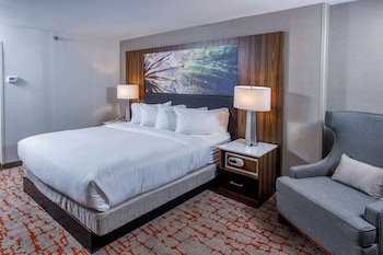 Room, 1 King Bed