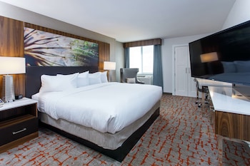 Room, 1 King Bed, Accessible (Roll-In Shower, Mobility)
