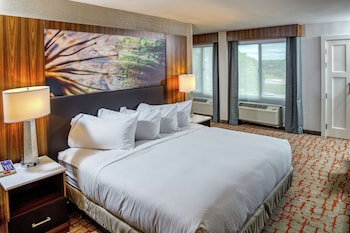 Family Suite, 1 King Bed (2 Bunk Beds)