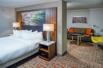 Family Suite, 1 King Bed (2 Bunk Beds)