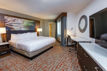 Junior Suite, 1 King Bed