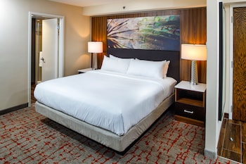 Room, 1 King Bed, Accessible (Roll-In Shower, Mobility)