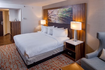 Room, 1 King Bed
