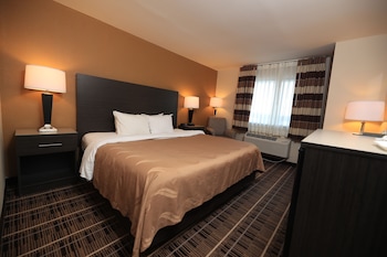 Standard Room, 1 King Bed, Non Smoking
