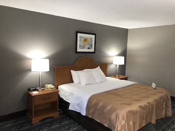 Standard Room, 1 King Bed, Non Smoking