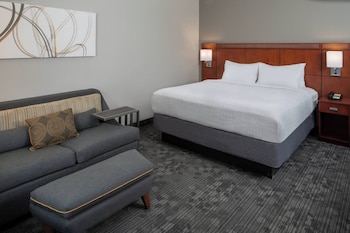 Room, 1 King Bed with Sofa bed (Hearing Accessible)