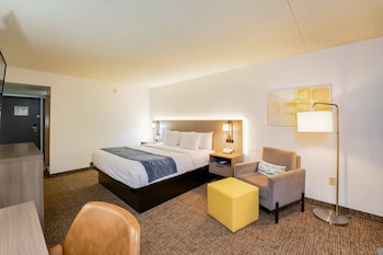 Room, 1 King Bed, Accessible, Non Smoking (Roll-In Shower)