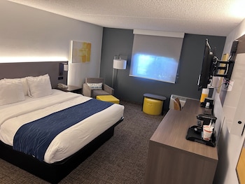 Room, 1 King Bed, Accessible, Non Smoking (Roll-In Shower)