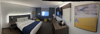 Room, 1 King Bed, Accessible, Non Smoking (Roll-In Shower)
