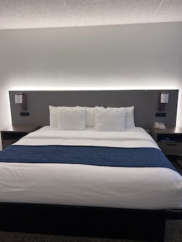 Room, 1 King Bed, Accessible, Non Smoking (Roll-In Shower)