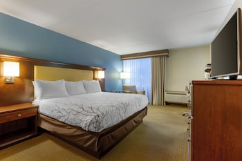 Standard Room, 1 King Bed, Accessible, Bathtub