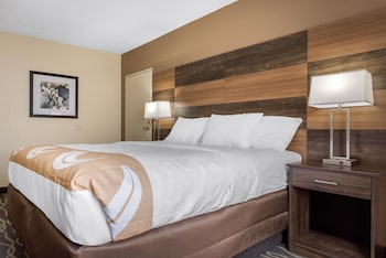 Room, 1 King Bed, Accessible, Non Smoking