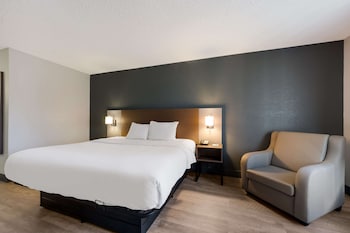 Standard Room, 1 King Bed, Non Smoking