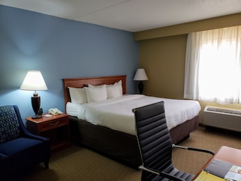 Room, 1 King Bed, Accessible, Non Smoking