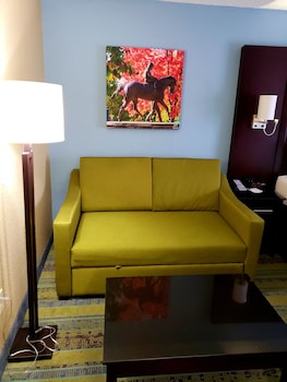 Standard Room, 1 King Bed with Sofa bed, Non Smoking