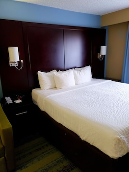 Standard Room, 1 King Bed with Sofa bed, Non Smoking