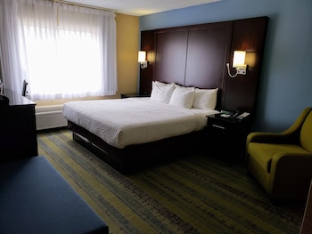 Room, 1 King Bed, Accessible, Non Smoking